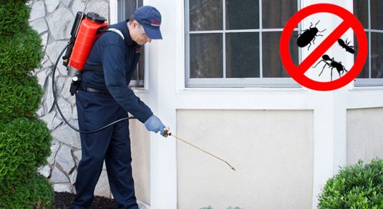 İkizdere Dezenfeksiyon böcek ilaçlama ve haşere kontrolü — ilaclama-tr.com